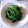 さとみにぃ～'s cooksnap of when they made ほうれん草のごまだれあえ.
