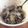 fukofuya's cooksnap of when they made 我が家の胡麻和え★3・2・1★.