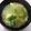 ☆ねこねこ☆'s cooksnap of when they made 白菜のふんわり卵あん。.