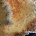 鹿の赤ちゃん's cooksnap of when they made ノンオイル★米粉バナナケーキ.