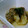 coppie's cooksnap of when they made ルクエで♡大根の肉巻き.