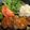 Melody's cooksnap of when they made チキンソテー・ピリ辛ソース.