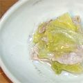 反面ティーチャー's cooksnap of when they made 白菜と豚バラ肉の鍋.