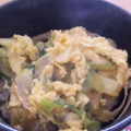 kocchi1978's cooksnap of when they made ねぎと卵だけの丼.
