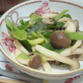 よーちゃん！'s cooksnap of when they made 酒のつまみにも♪しめじとネギの炒め物.