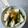 yu🐓's cooksnap of when they made 🎶豆腐も一緒に卵かけご飯🎶.