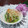 ☆むさし☆'s cooksnap of when they made ∮切干とさやえんどうの黒コショウ炒め∮.