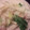 MofeMofee's cooksnap of when they made 簡単！！とろ～り白菜と鶏の中華クリーム煮.