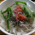 けんちゃく's cooksnap of when they made ダッチ発！！あっさり梅しらすゴハン♡.