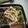 ほっとけーき☆'s cooksnap of when they made 【お弁当】ししとうチーズのベーコン巻き.