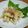 母ちゃん☆'s cooksnap of when they made 旬の筍で梅酢和え♪.