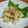 母ちゃん☆'s cooksnap of when they made 旬の筍で梅酢和え♪.