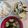 彩ーAyaー's cooksnap of when they made 白だしを使って簡単筍ご飯！.