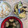 彩ーAyaー's cooksnap of when they made 白だしを使って簡単筍ご飯！.