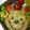 cocoakico's cooksnap of when they made 簡単キャラ弁　ぷーさん.