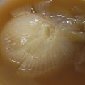 ウズと蓮のママ's cooksnap of when they made 甘いよ甘いよ☆新玉ねぎのオニオンスープ.