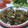 ずーすー's cooksnap of when they made 鶏のむね肉焼き ～きのこ餡かけ～.