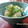 tearstar's cooksnap of when they made こごみの白和え.