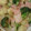 HMCみーこりん's cooksnap of when they made ブロッコリーと新じゃがのしょうゆマヨ和え.