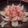 maritta's cooksnap of when they made 簡単に一品☆たまねぎのレンジ蒸し♪.