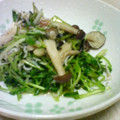 たんぽぽしぃ's cooksnap of when they made 豆苗としめじとしらすのおひたし.