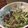 チャメゴン♨'s cooksnap of when they made キュウリときくらげの春雨中華サラダ.