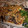 バタバタ子さん's cooksnap of when they made ネギたっぷり鯖(塩鯖)の南蛮漬け.