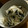ju_10's cooksnap of when they made おいしい！新玉ねぎのおかか和え.