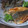 kazz72's cooksnap of when they made ちょっぴりピリ辛☆秋刀魚の蒲焼き.