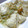 若鬼嫁あきちゃん's cooksnap of when they made もやしと豆腐の玉子とじ.
