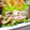 えるえる２８６'s cooksnap of when they made いろいろキノコのバタぽん炒め.