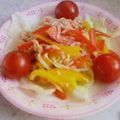 kana7332's cooksnap of when they made もやし・ツナ・パプリカのしゃっきりサラダ.