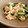 cafe0305's cooksnap of when they made きゅうりと豆腐のさっと生姜炒め.