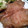 ミロ97's cooksnap of when they made 【簡単・本格】豚の生姜焼き.