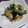 らんぴん's cooksnap of when they made 簡単★オクラとちくわの塩昆布和え.