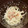 紅茶大好き♪'s cooksnap of when they made 簡単☆新たまねぎとカニかまのサラダ.