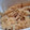 ゆみたんこ's cooksnap of when they made 栄養満点！　あさりの炊き込みごはん.