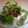 pali's cooksnap of when they made 冷奴のピリ辛風.