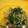 ＭＩＫＩＲＵＮＲＵＮ's cooksnap of when they made しゃきしゃき！えのきと水菜のおひたし.