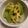 ピスタチオ・グリーン's cooksnap of when they made ◎れんこん＆スナップえんどうの辛子和え◎.