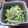 жゆきにゃж's cooksnap of when they made 絹さやの胡麻味噌和え.