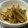 のんのんSTELLA's cooksnap of when they made 簡単★ゴボウの胡麻和え.