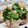 ３びきの子ぶたのまま's cooksnap of when they made ささみの明太マヨワサ焼き☆.