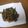 ひしゃる's cooksnap of when they made 牛肉と空豆の甘辛炒め.