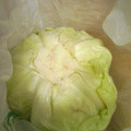 ＡＫＫＡ's cooksnap of when they made キャベツ1玉を長持ちさせる方法.