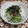 ちよえちゃん's cooksnap of when they made ＜旬＞、新たまねぎをさっぱりと！.