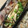 サーフブレイド's cooksnap of when they made エリンギとしらすのバター醤油炒め.