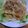 妙香ママ's cooksnap of when they made 大根と豆腐の簡単サラダ.