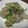 まあくんのおくさん's cooksnap of when they made こんにゃくのおかか炒め.