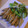 にゃんこ先生８'s cooksnap of when they made 簡単！手羽中の唐揚げ（のりマヨ一味あじ）.